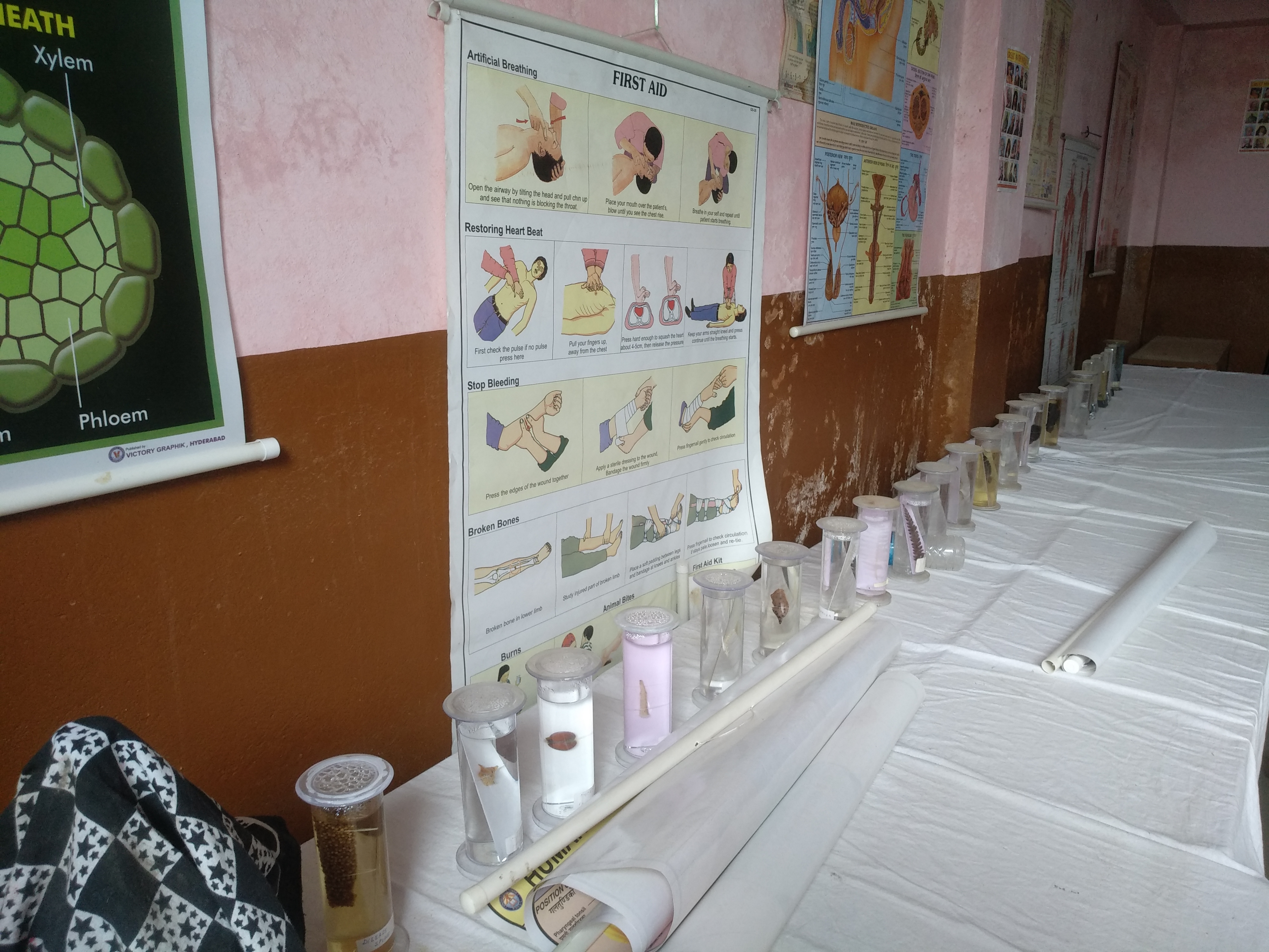 gallery
